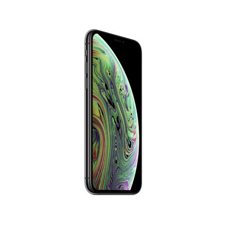 iPhone XS 64GB grigio siderale - Usato - Grado A